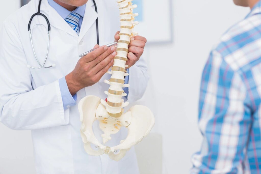 Nashua workers compensation lawuer features photo of doctor holding a human spine representing potential workplace injuries involving the back and the spine in new hampshire